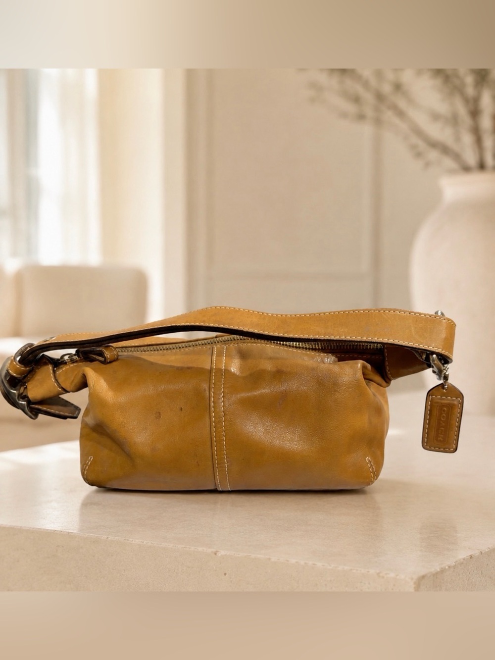 Coach Shoulder Bag in Tan Leather 9564
